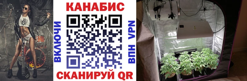 Как найти наркотики Егорьевск Гашиш Альфа ПВП Меф мяу мяу Каннабис