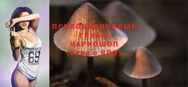 круглые Алзамай