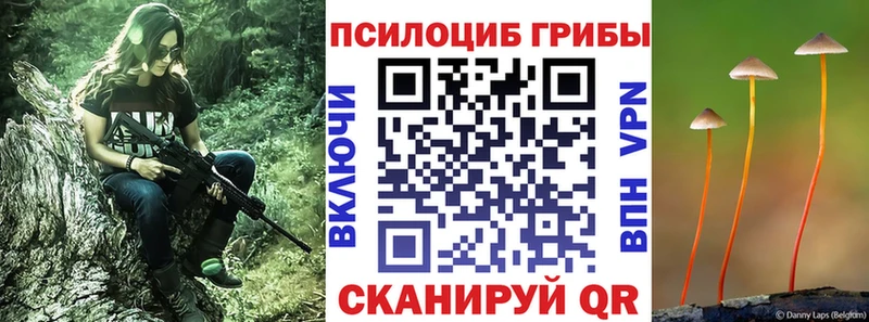 Псилоцибиновые грибы Psilocybine cubensis  где купить наркотик  Егорьевск 